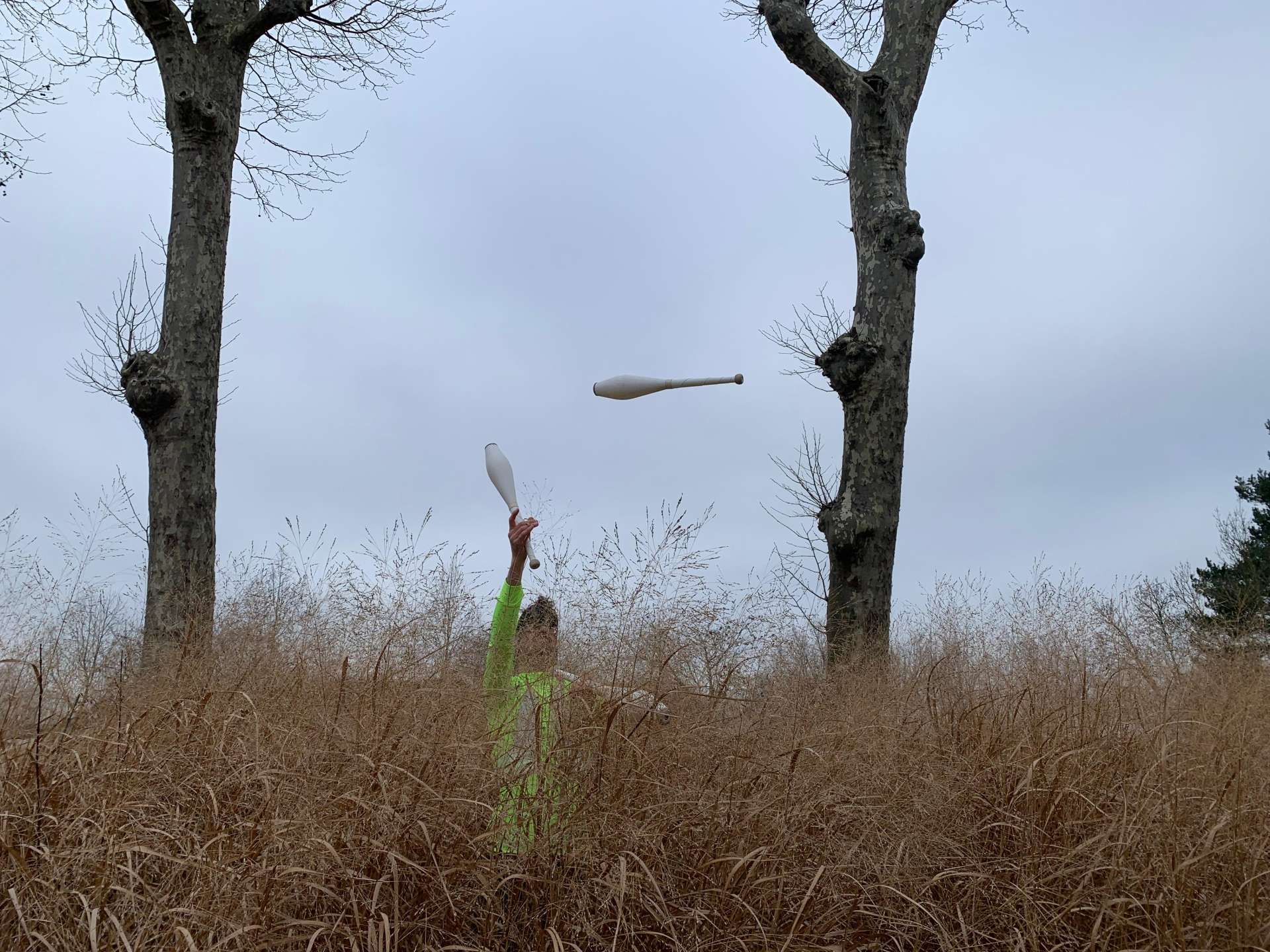 Le jongleur lance ses massues derrière de hautes herbes